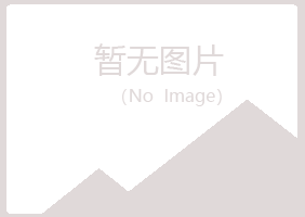 天津津南冰夏能源有限公司